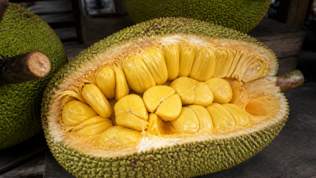 Jackfruit