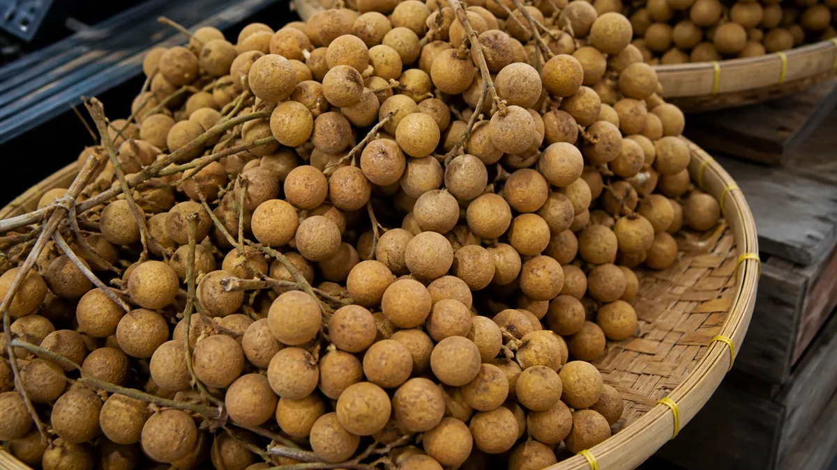 Longan