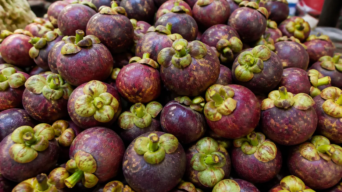 Mangosteen